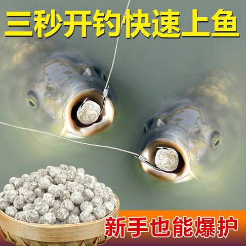 掛鉤釣魚餌料鯽魚鯉魚青魚草魚野釣黑坑水庫池塘通殺懶人釣餌垂釣 協貿國際日用品生活4館 樂天市場rakuten 掛鉤釣魚餌料鯽魚鯉魚青魚草魚野釣黑坑水庫池塘通殺懶人釣餌垂釣 協貿國際日用品生活4館 樂天市場rakuten