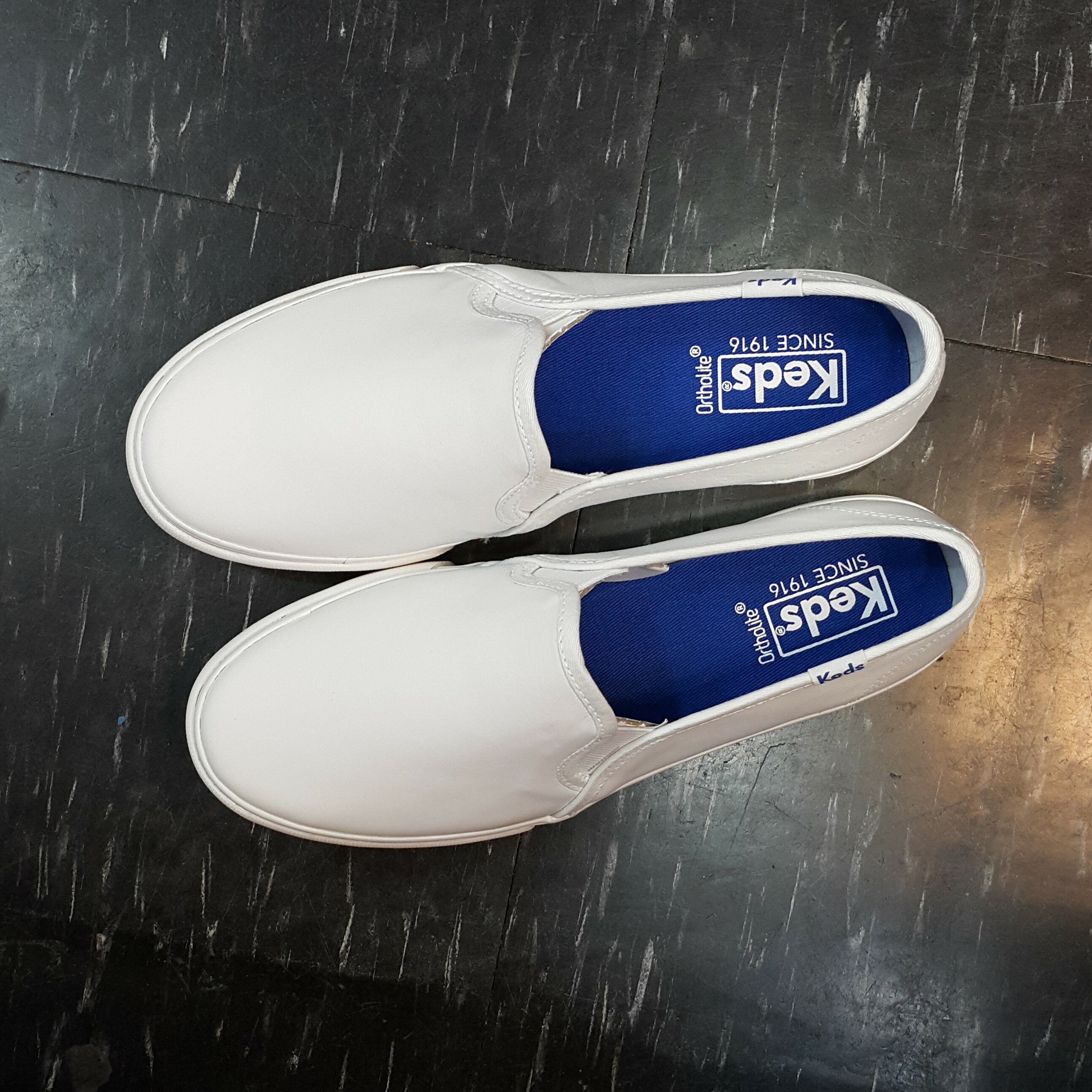 keds dalmata
