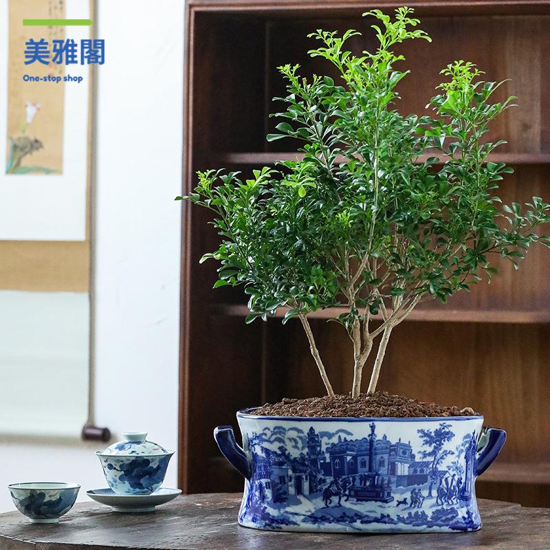 手繪 山水花盆帶出水孔 陶瓷花盆 陶瓷花盆陽臺種樹大口徑花盆 陶瓷myg8261