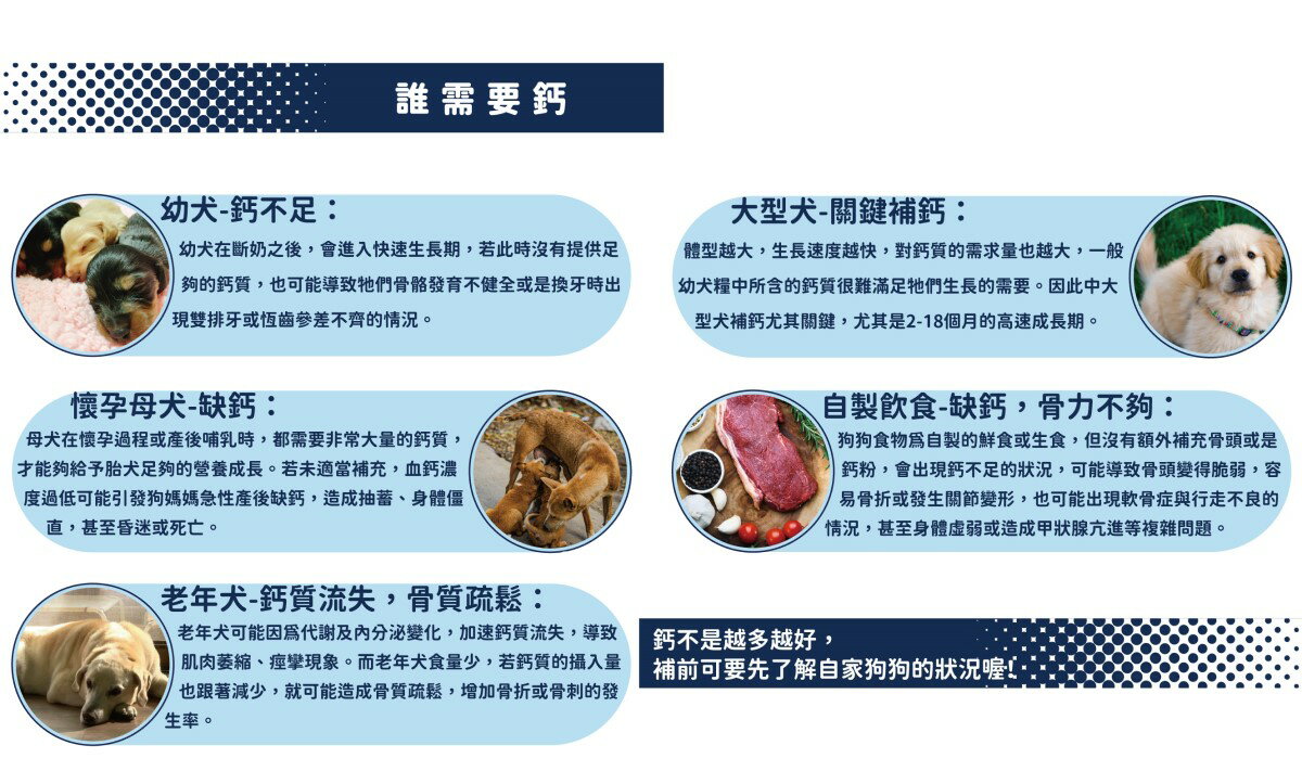 免運費 貝樂星寵物胜肽鈣鎂錠50粒入補鈣產後母犬生長遲緩幼犬骨質脆弱老犬皮膚乾燥全館贈精美贈品