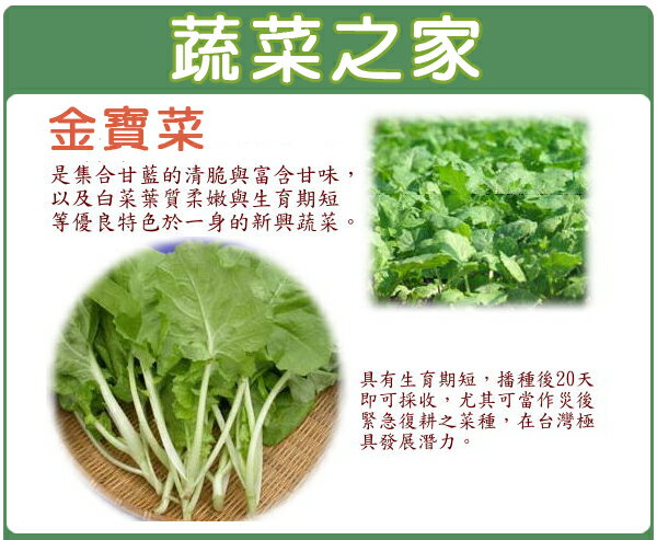 【蔬菜之家】A36.金寶菜種子500顆