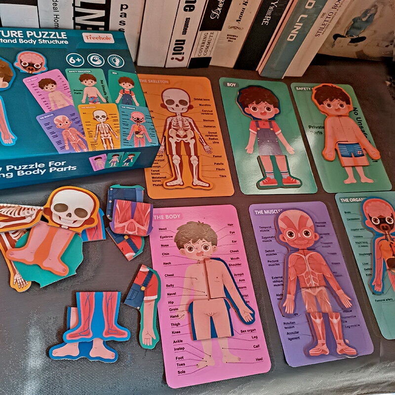 早教中心推薦兒童人體認知拼圖玩具身體結構寶寶提前性教育木制