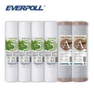 (共6入)EVERPOLL EVB-F105 5微米PP濾芯4支 EVB-C100A活性碳棒濾芯2支 大大淨水