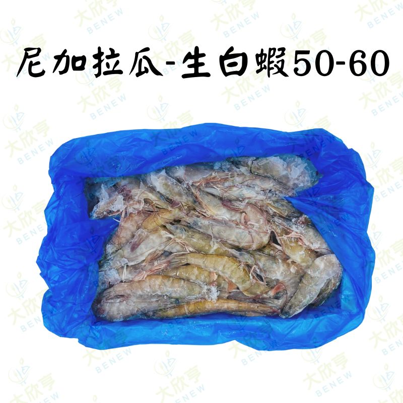 #4 尼加拉瓜活凍生白蝦50-60【每盒870公克】《大欣亨》B211041