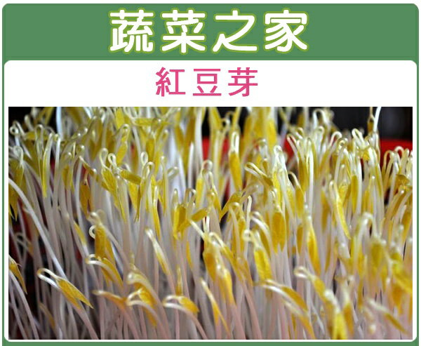 【蔬菜之家】J13.紅豆芽種子(有兩種包裝規格可選)