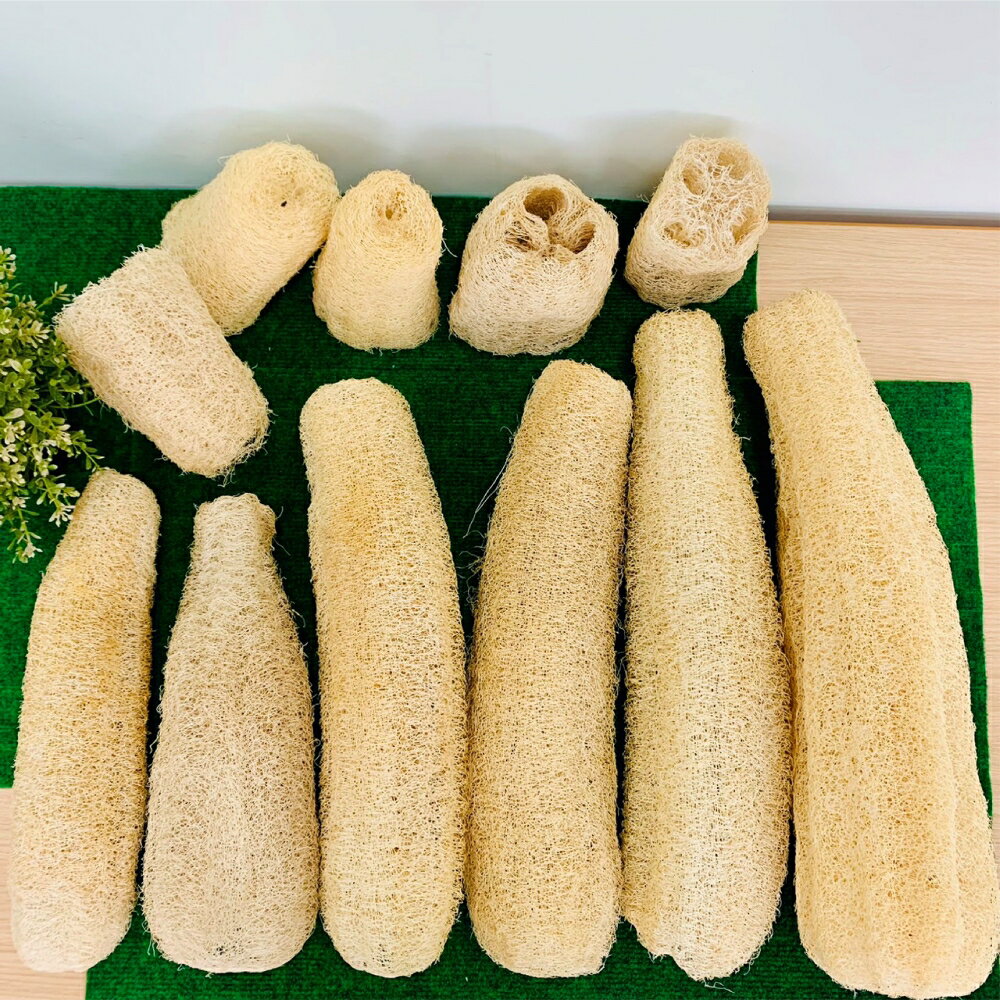 台灣菜瓜布/絲瓜布/天然清潔布 30-35公分(2入)、36-40公分(2入)、41-50公分(2入)、切好的13-15公分(10入)