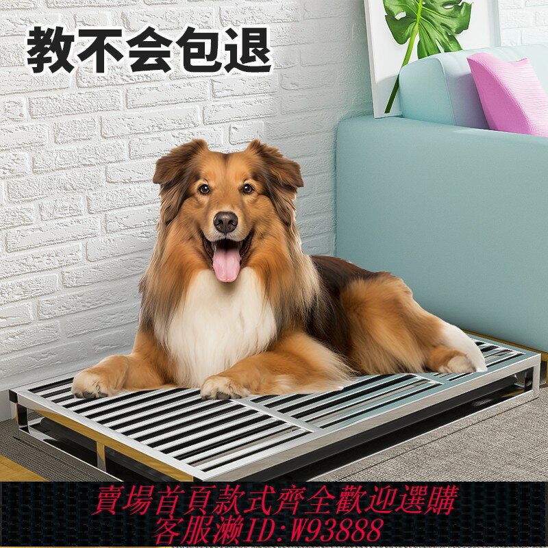 {臺灣公司貨 可打統編}狗廁所大型犬不銹鋼中型犬防踩屎防撕咬固定尿墊超大號自動防吃屎