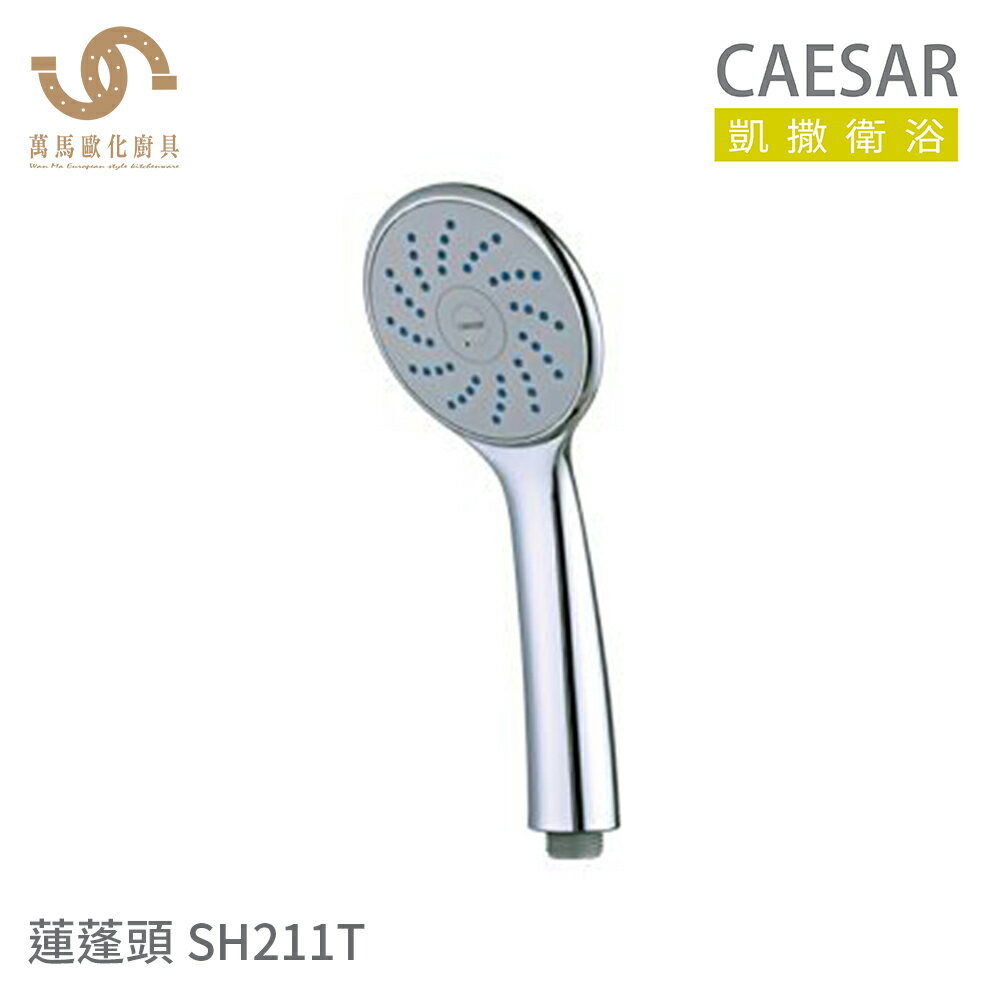 CAESAR 凱撒衛浴 SH211T 單段式 蓮蓬頭