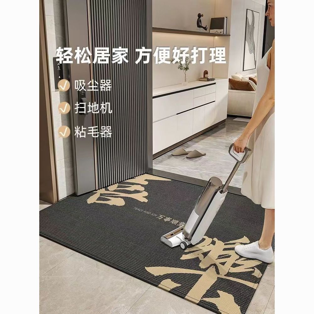 【台灣公司 可開發票】簡約入戶地墊灰色進門玄關耐臟腳墊中式大門口除塵耐臟門墊免洗墊 3