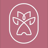 YMC your moving castle 寵物移動城堡