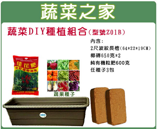 【蔬菜之家013-A07】蔬菜DIY種植組合-中型//型號Z01B