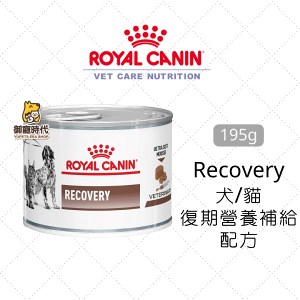 Royal 皇家處方罐 Recovery 犬/貓 恢復期營養補給配方 195g 重症 虛弱 術後 營養罐頭