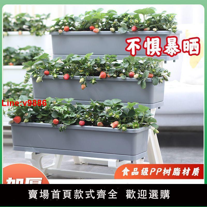 【臺灣公司 超低價】陽臺多層種菜盆加厚耐用多層種菜架立體式種花盆長方形長條草莓盆