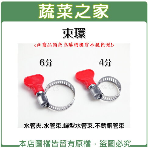 蔬菜之家007 B52 1 007 B52 2 束環4分 6分可選擇 水管夾 水管束 蝶型水管束 不銹鋼管束 蔬菜之家 Rakuten樂天市場