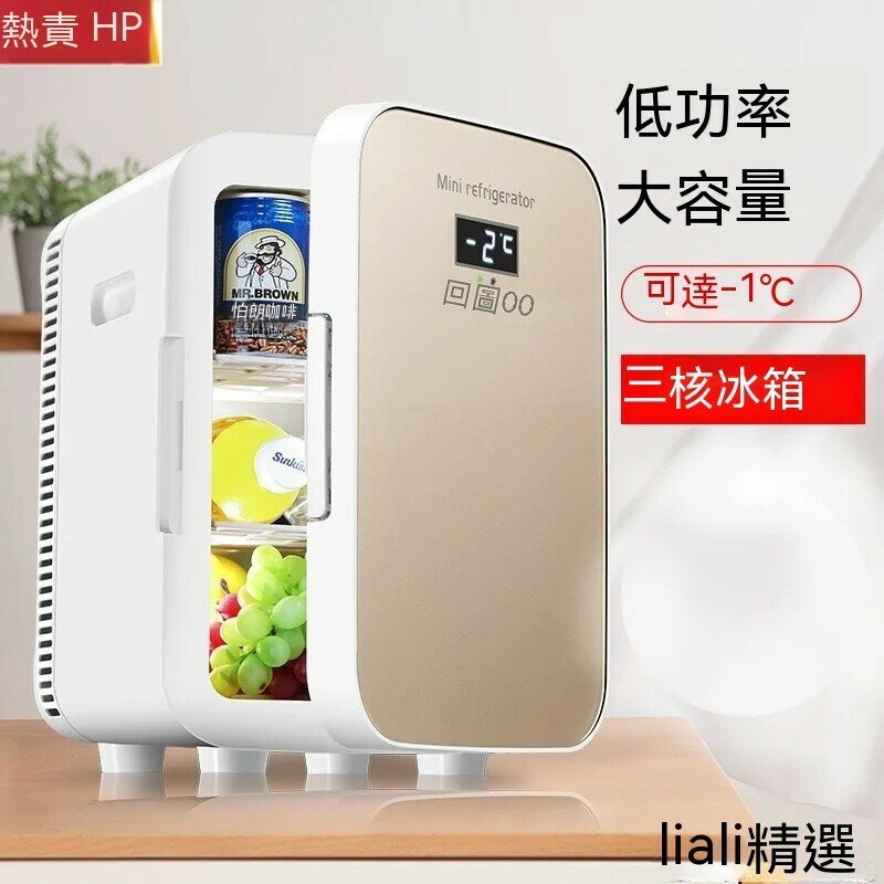 迷你小冰箱 宿捨小型冰箱 半導體車載冰箱 傢用便捷式 車載冰箱 車傢兩用 製冷暖箱 免運