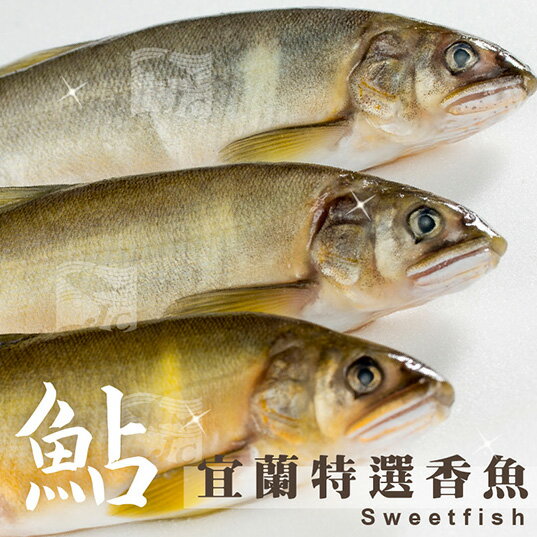 特選宜蘭公香魚(10尾) 1kg±10%/盒#新鮮#公香魚#乾煎#鹽烤#特選純淨水域出產