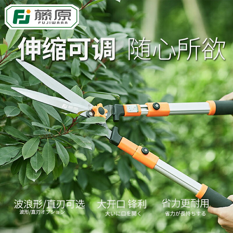 藤原修枝剪園藝剪樹枝剪園林綠化工具修綠籬笆剪可伸縮省力大剪刀