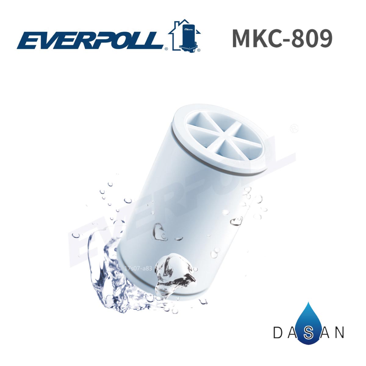 【EVERPOLL】 MKC 微分子SPA除氯沐浴器專用濾心 MK-809 專用濾芯