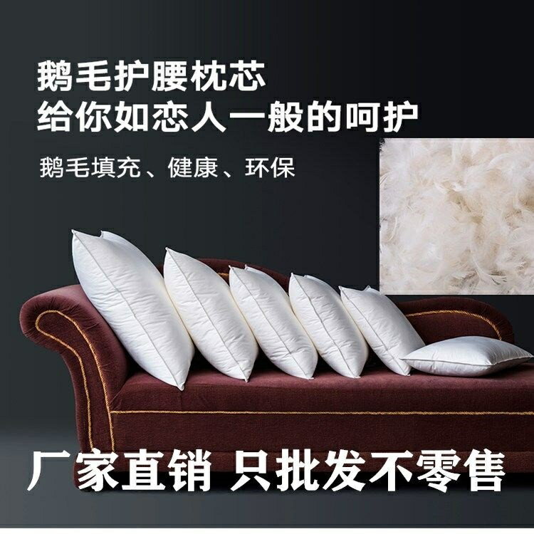 鴨絨羽絨靠枕抱枕芯枕頭白鴨絨全棉防羽靠背芯辦公室腰靠沙發靠墊