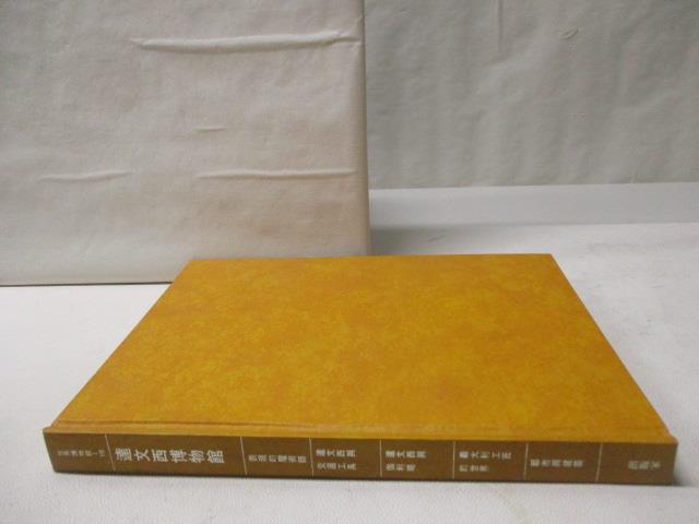 【書寶二手書T4／藝術 JP6】世界博物館15達文西博物館 附殼