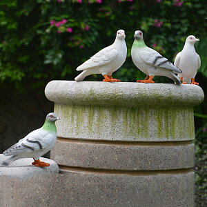 仿真鴿子擺件婚慶和平白鴿庭院裝飾園林景觀雕塑戶外花園別墅景區