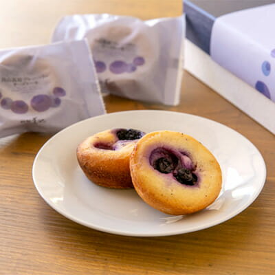 菊池菓子舗【藍莓起士蛋糕(5入)】