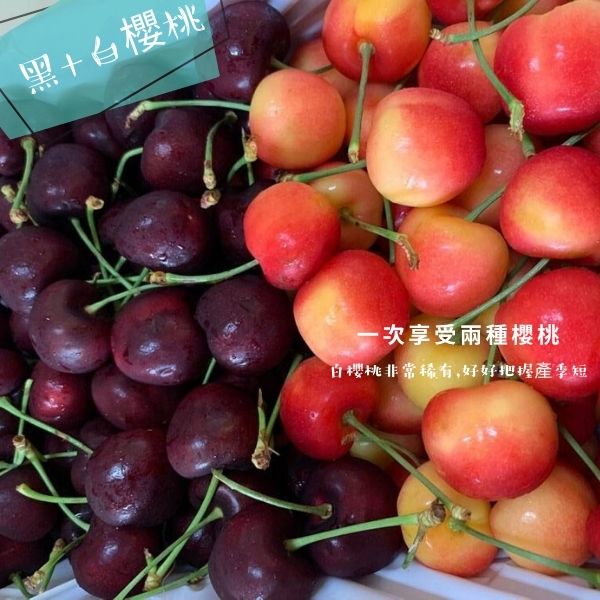 緁迪水果