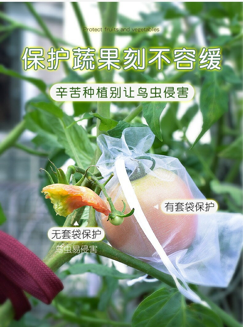 【雙拉繩紗袋-單入】水果套袋 紗網袋 雪紗網 防蟲網袋 水果網袋 紗袋 套袋 小物袋 整理袋 雪紗袋 婚禮 3