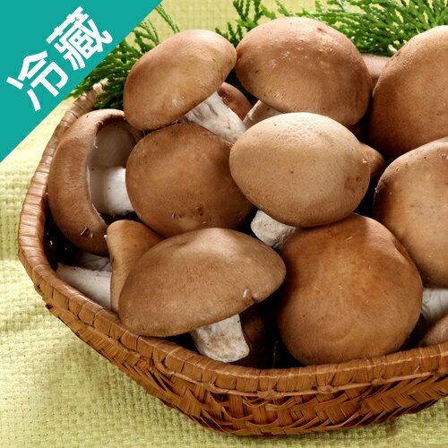 埔里特級鮮香菇1包(300g±5%/包)【愛買冷藏】