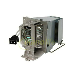 OPTOMA副廠投影機燈泡BL-FP190E適HD141X、EH200ST、DH1009、DW333、S312