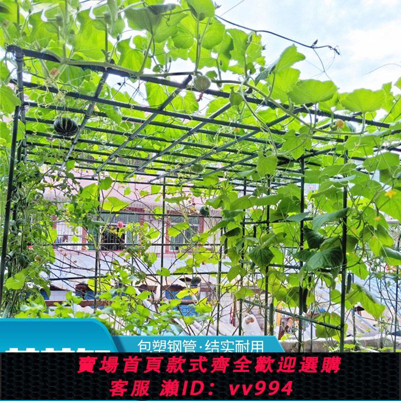 {公司貨 最低價}戶外庭院葡萄架組裝支架百香果苦瓜攀爬架鐵藝棚架陽臺植物爬藤架