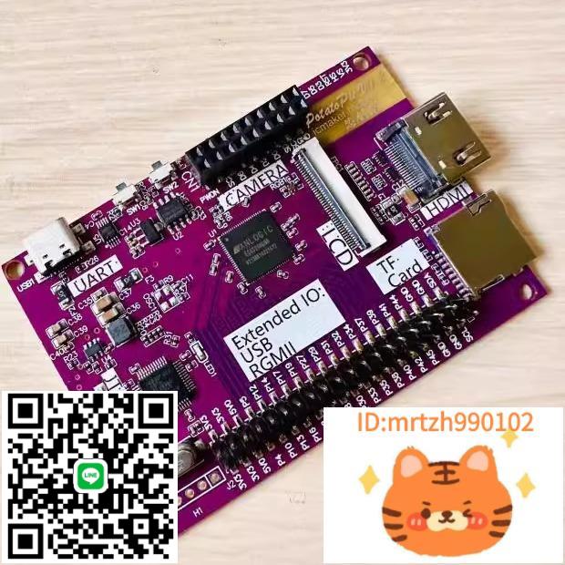 FPGA開發板 20K【含下載器】影象處理 RISC-V Linux Tang Nano-莉子百貨