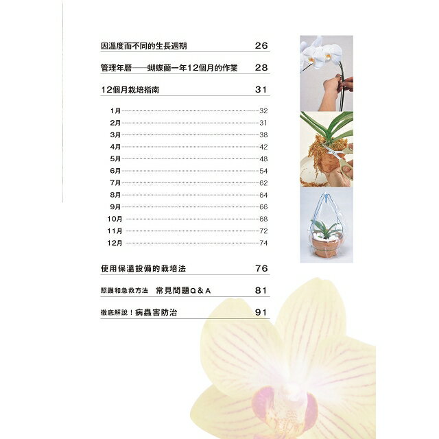 全年度蝴蝶蘭栽培基礎書 9