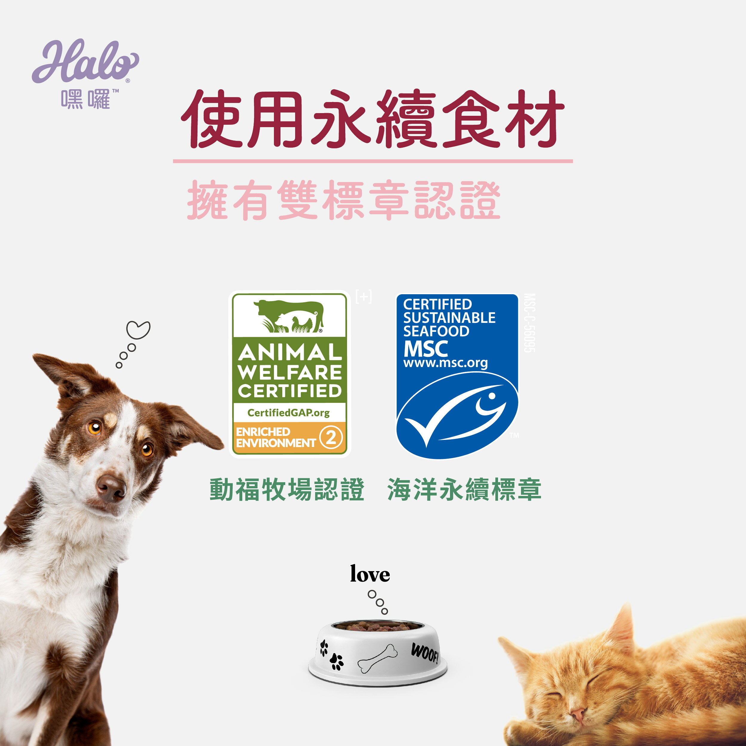 【領券85折+免運】Halo 嘿囉 無穀貓飼料 幼貓 成貓 貓糧 貓飼料 無穀 升級 貓乾糧 WDJ推薦 全系列 5