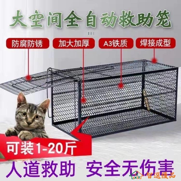 快速出貨外出籠 捕貓籠捕貓神器全自動捕貓籠子抓貓神器救助貓籠捉貓神器逮貓工具