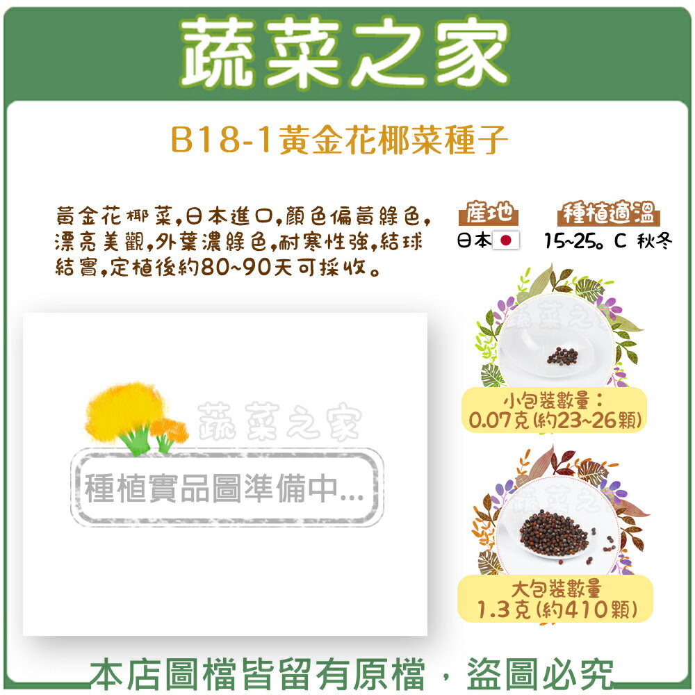 【蔬菜之家】B18-1.黃金花椰菜種子(共有2種包裝可選)