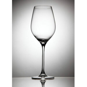 《RONA 樂娜》Celebration 專業白酒杯 360ml(2入)