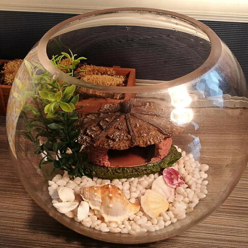 烏龜缸 魚缸生態圓形玻璃金魚缸烏龜缸桌面小型造景水培花瓶圓型小魚缸 2