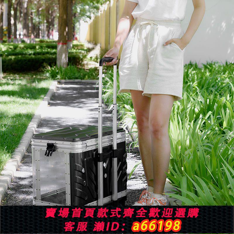 【臺灣公司 可開發票】寵物拉桿箱貓包外出便攜貓咪太空艙狗狗行李箱大容量兩只小推車