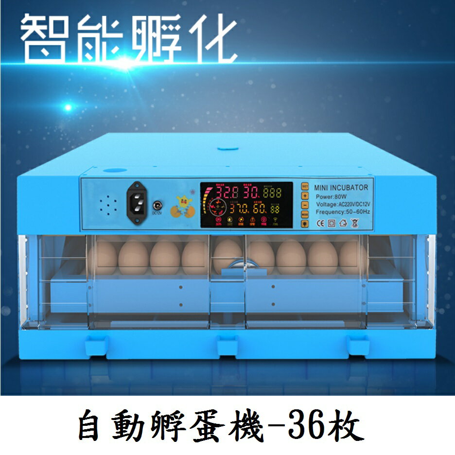 【孵蛋機】保固半年 雞 鴨 鵝 鸚鵡 110V 自動加濕 全自動 孵蛋器 自動翻蛋 孵蛋 孵化 孵化器