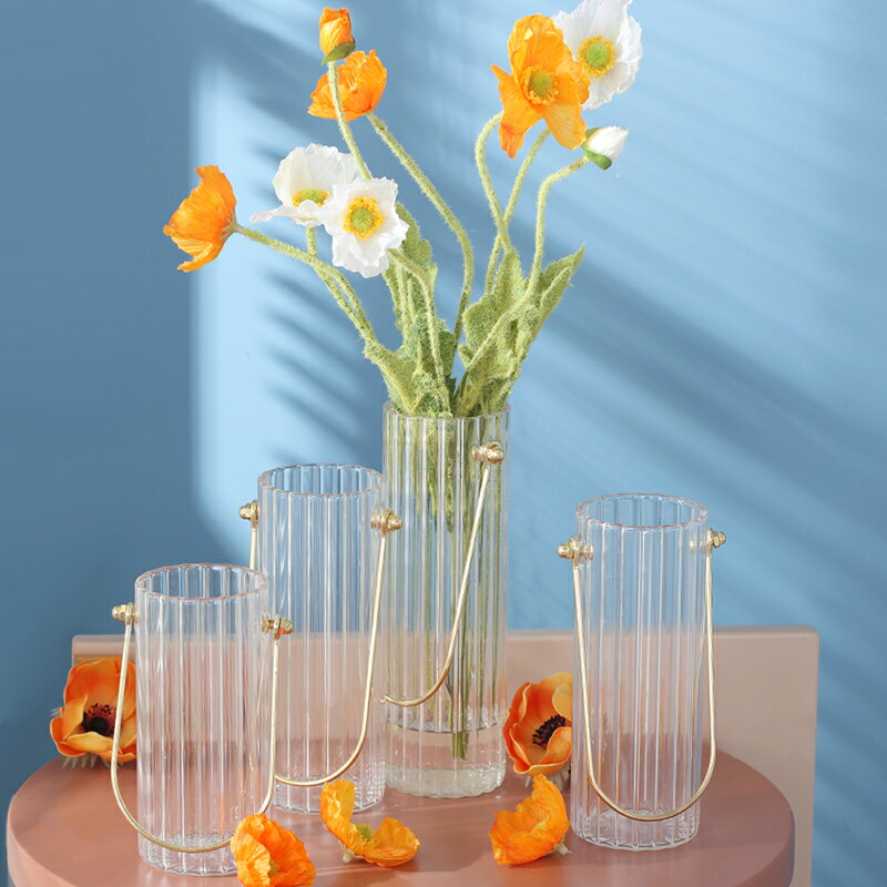 現代簡約透明玻璃花瓶擺件干花插花器家居客廳餐桌面裝飾品北歐風