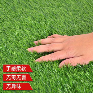 【咨詢客服有驚喜】仿真草坪地毯幼兒園足球場人造綠塑料裝飾鋪墊戶外圍擋人工假草皮