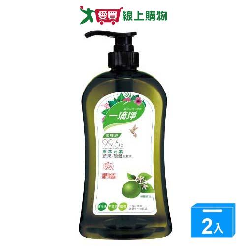 楓康一滴淨蘆薈多酚檸檬洗碗精1000g【兩入組】【愛買】