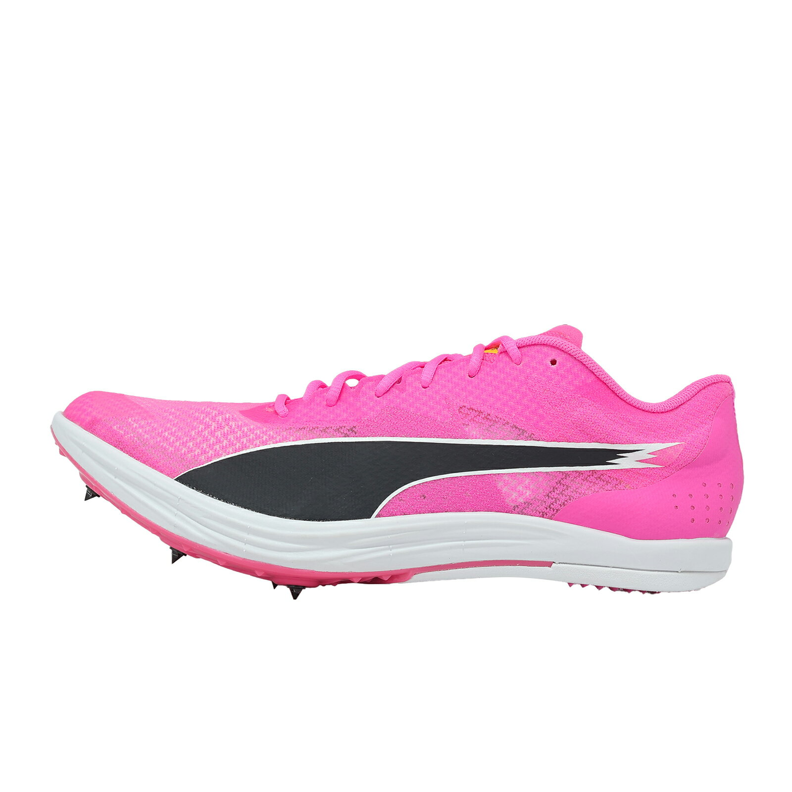Puma 田徑釘鞋 EvoSPEED Long Distance 男鞋 粉紅 長跑 312857-04