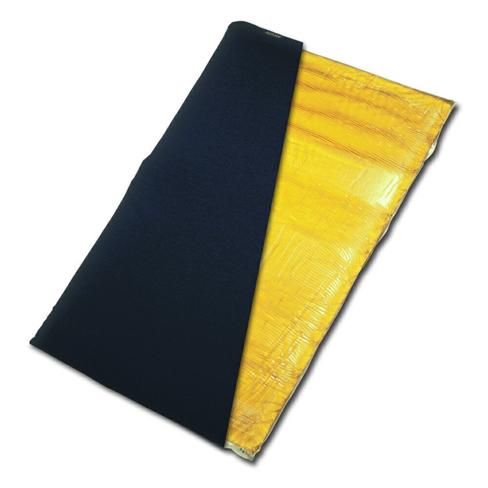 來而康 Action 艾克森 減壓床墊 (未滅菌) 6405H 含固定帶 布套 坐臥 兩用 脂肪墊 減壓墊 床墊