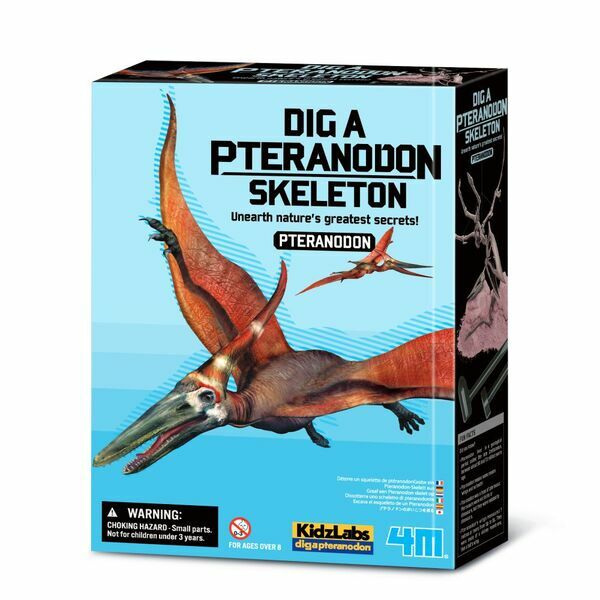 《4M》挖掘考古 挖掘化石:翼龍骨架 KidzLabs/Dig a Pteranodon Skeleton東喬精品百貨