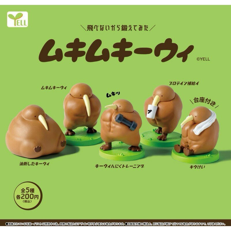 YELL 日版 轉蛋 扭蛋 奇異鳥 壯壯奇異鳥 肌肉 全5種 整套販售