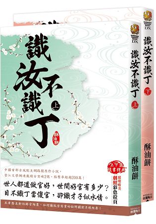 識汝不識丁(全二冊) | 拾書所