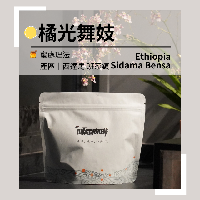 【順風咖啡】 咖啡豆 ｜單品咖啡豆｜橘光舞妓｜衣索比亞｜蜜處理法  (精品咖啡/清透淺焙/新鮮烘焙/227g)