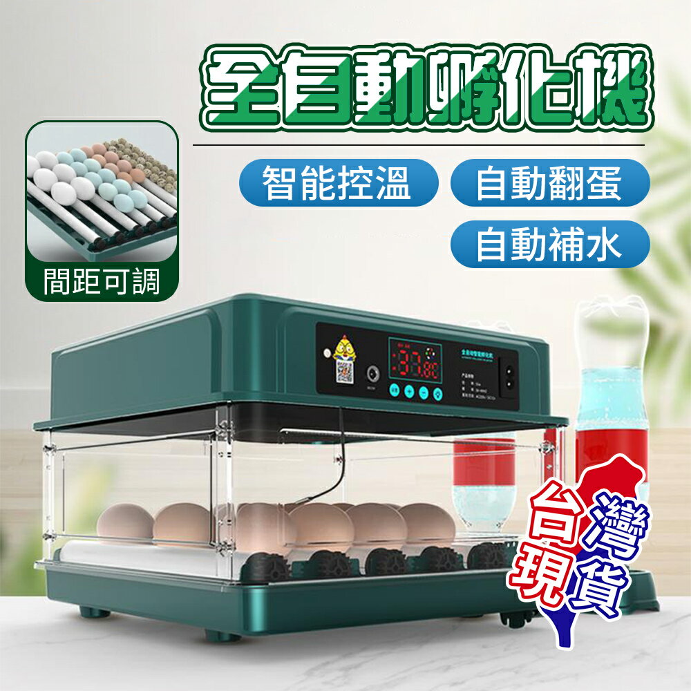 【12H現貨】孵化器小型全自動孵化機家用型智慧孵蛋器蘆丁小雞鵪鶉鴨鵝孵化箱 森馬先生旗艦店